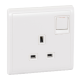13A 1G DP Sw Neon & Twin Earth Terminal, WE